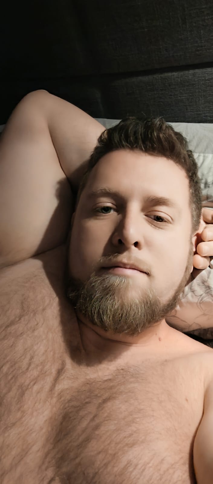 Profil von Gorka