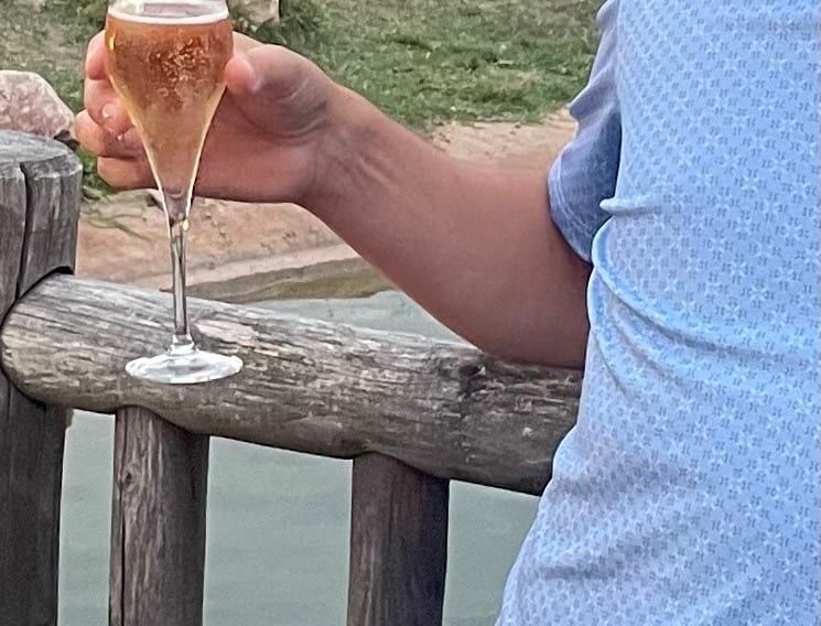 Profil von Jean-vivien