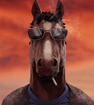 Profil von Sullyvann